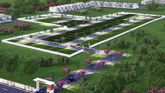 Vibrant Vilasaa Farms